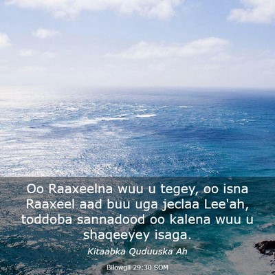 Picture 03 - Bilowgii 29:30 SOM - Oo Raaxeelna wuu u tegey, oo isna Raaxeel aad buu - Bible Verse Picture