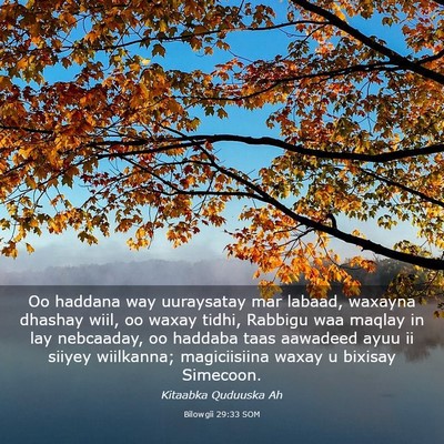 Picture 03 - Bilowgii 29:33 SOM - Oo haddana way uuraysatay mar labaad, waxayna - Bible Verse Picture