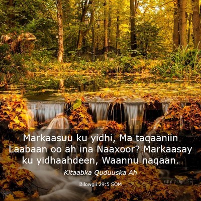Picture 03 - Bilowgii 29:5 SOM - Markaasuu ku yidhi, Ma taqaaniin Laabaan oo ah - Bible Verse Picture