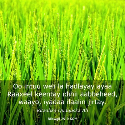 Picture 03 - Bilowgii 29:9 SOM - Oo intuu weli la hadlayay ayaa Raaxeel keentay - Bible Verse Picture