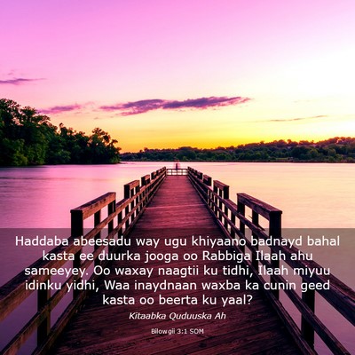 Picture 03 - Bilowgii 3:1 SOM - Haddaba abeesadu way ugu khiyaano badnayd bahal - Bible Verse Picture
