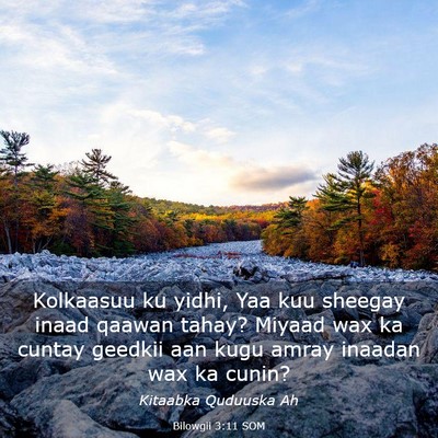 Picture 03 - Bilowgii 3:11 SOM - Kolkaasuu ku yidhi, Yaa kuu sheegay inaad qaawan - Bible Verse Picture