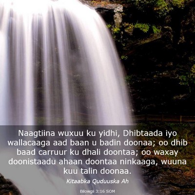 Picture 03 - Bilowgii 3:16 SOM - Naagtiina wuxuu ku yidhi, Dhibtaada iyo - Bible Verse Picture