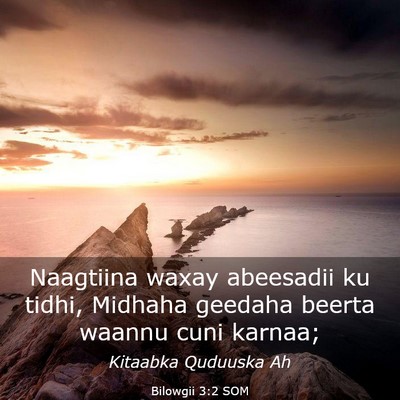 Picture 03 - Bilowgii 3:2 SOM - Naagtiina waxay abeesadii ku tidhi, Midhaha - Bible Verse Picture