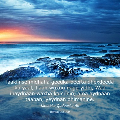Picture 03 - Bilowgii 3:3 SOM - laakiinse midhaha geedka beerta dhexdeeda ku - Bible Verse Picture