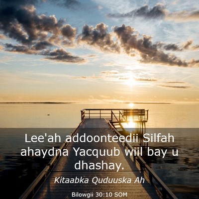 Picture 03 - Bilowgii 30:10 SOM - Lee'ah addoonteedii Silfah ahaydna Yacquub wiil - Bible Verse Picture