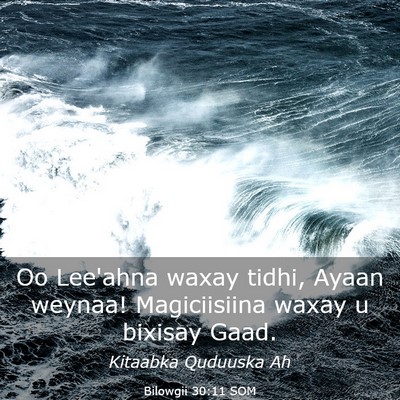 Picture 03 - Bilowgii 30:11 SOM - Oo Lee'ahna waxay tidhi, Ayaan weynaa! - Bible Verse Picture