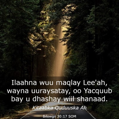 Picture 03 - Bilowgii 30:17 SOM - Ilaahna wuu maqlay Lee'ah, wayna uuraysatay, oo - Bible Verse Picture