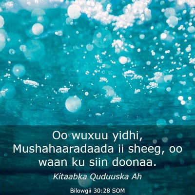 Picture 03 - Bilowgii 30:28 SOM - Oo wuxuu yidhi, Mushahaaradaada ii sheeg, oo waan - Bible Verse Picture
