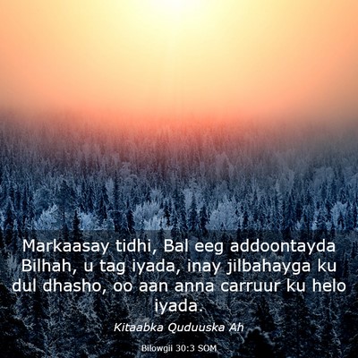 Picture 03 - Bilowgii 30:3 SOM - Markaasay tidhi, Bal eeg addoontayda Bilhah, u - Bible Verse Picture