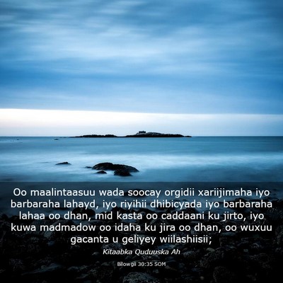 Picture 03 - Bilowgii 30:35 SOM - Oo maalintaasuu wada soocay orgidii xariijimaha - Bible Verse Picture