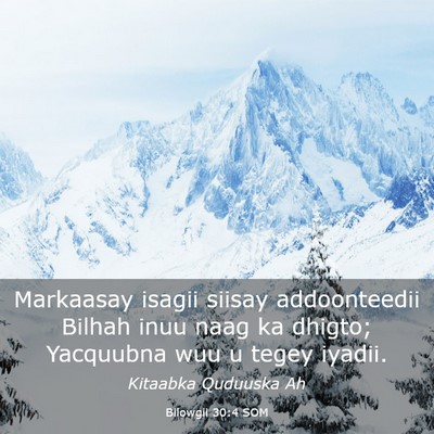 Picture 03 - Bilowgii 30:4 SOM - Markaasay isagii siisay addoonteedii Bilhah inuu - Bible Verse Picture