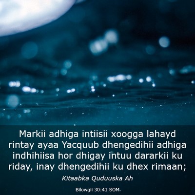 Picture 03 - Bilowgii 30:41 SOM - Markii adhiga intiisii xoogga lahayd rintay ayaa - Bible Verse Picture