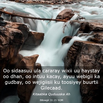 Picture 03 - Bilowgii 31:21 SOM - Oo sidaasuu ula cararay wixii uu haystay oo dhan, - Bible Verse Picture