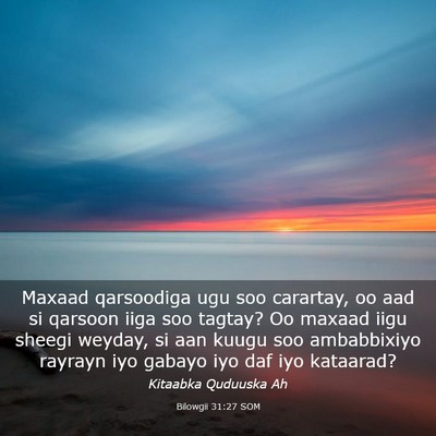 Picture 03 - Bilowgii 31:27 SOM - Maxaad qarsoodiga ugu soo carartay, oo aad si - Bible Verse Picture