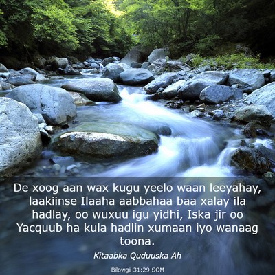 Picture 03 - Bilowgii 31:29 SOM - De xoog aan wax kugu yeelo waan leeyahay, - Bible Verse Picture