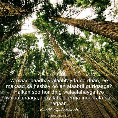Picture 03 - Bilowgii 31:37 SOM - Waxaad baadhay alaabtayda oo dhan, ee maxaad ka - Bible Verse Picture
