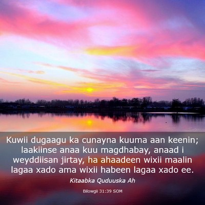 Picture 03 - Bilowgii 31:39 SOM - Kuwii dugaagu ka cunayna kuuma aan keenin; - Bible Verse Picture