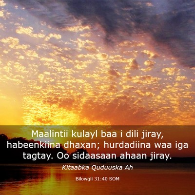 Picture 03 - Bilowgii 31:40 SOM - Maalintii kulayl baa i dili jiray, habeenkiina - Bible Verse Picture