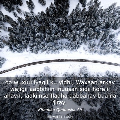 Picture 03 - Bilowgii 31:5 SOM - oo wuxuu iyagii ku yidhi, Waxaan arkay wejigii - Bible Verse Picture