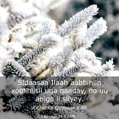 Picture 03 - Bilowgii 31:9 SOM - Sidaasaa Ilaah aabbihiin xoolihiisii uga qaaday, - Bible Verse Picture