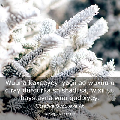 Picture 03 - Bilowgii 32:23 SOM - Wuuna kaxeeyey iyagii oo wuxuu u diray durdurka - Bible Verse Picture