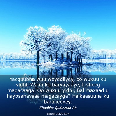 Picture 03 - Bilowgii 32:29 SOM - Yacquubna wuu weyddiiyey, oo wuxuu ku yidhi, Waan - Bible Verse Picture