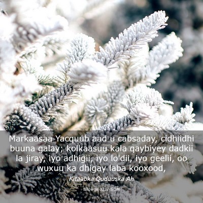 Picture 03 - Bilowgii 32:7 SOM - Markaasaa Yacquub aad u cabsaday, cidhiidhi buuna - Bible Verse Picture