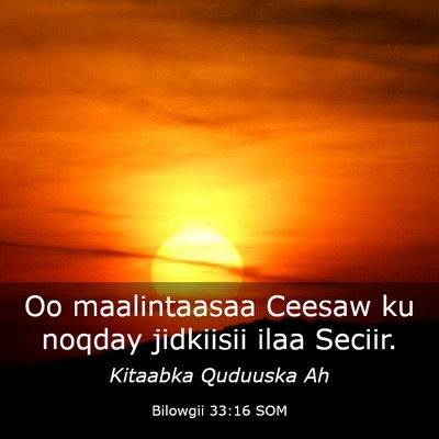 Picture 03 - Bilowgii 33:16 SOM - Oo maalintaasaa Ceesaw ku noqday jidkiisii ilaa - Bible Verse Picture