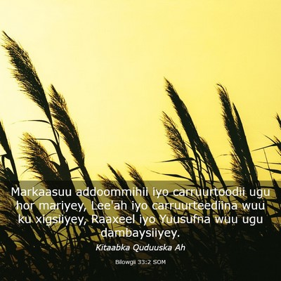 Picture 03 - Bilowgii 33:2 SOM - Markaasuu addoommihii iyo carruurtoodii ugu hor - Bible Verse Picture
