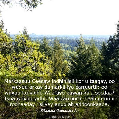 Picture 03 - Bilowgii 33:5 SOM - Markaasuu Ceesaw indhihiisii kor u taagay, oo - Bible Verse Picture