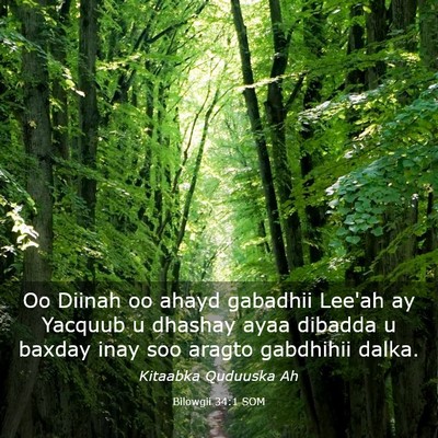 Picture 03 - Bilowgii 34:1 SOM - Oo Diinah oo ahayd gabadhii Lee'ah ay Yacquub u - Bible Verse Picture