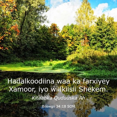 Picture 03 - Bilowgii 34:18 SOM - Hadalkoodiina waa ka farxiyey Xamoor, iyo - Bible Verse Picture