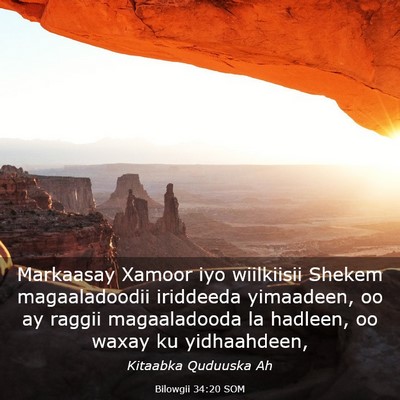Picture 03 - Bilowgii 34:20 SOM - Markaasay Xamoor iyo wiilkiisii Shekem - Bible Verse Picture
