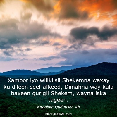 Picture 03 - Bilowgii 34:26 SOM - Xamoor iyo wiilkiisii Shekemna waxay ku dileen - Bible Verse Picture