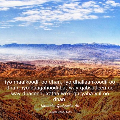 Picture 03 - Bilowgii 34:29 SOM - iyo maalkoodii oo dhan, iyo dhallaankoodii oo - Bible Verse Picture