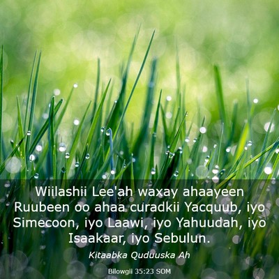 Picture 03 - Bilowgii 35:23 SOM - Wiilashii Lee'ah waxay ahaayeen Ruubeen oo ahaa - Bible Verse Picture