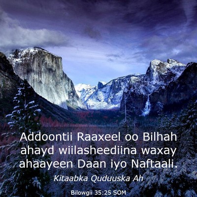 Picture 03 - Bilowgii 35:25 SOM - Addoontii Raaxeel oo Bilhah ahayd wiilasheediina - Bible Verse Picture