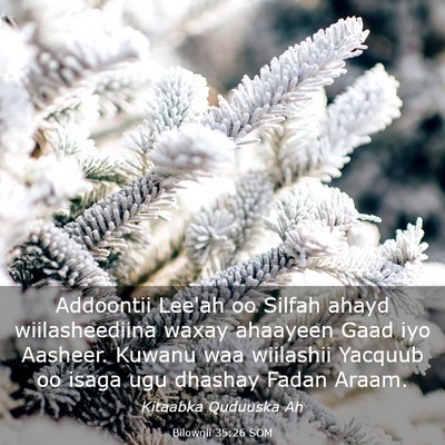Picture 03 - Bilowgii 35:26 SOM - Addoontii Lee'ah oo Silfah ahayd wiilasheediina - Bible Verse Picture