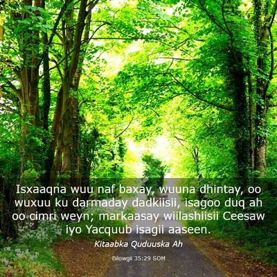Picture 03 - Bilowgii 35:29 SOM - Isxaaqna wuu naf baxay, wuuna dhintay, oo wuxuu - Bible Verse Picture