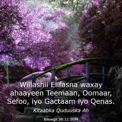 Picture 03 - Bilowgii 36:11 SOM - Wiilashii Elifasna waxay ahaayeen Teemaan, - Bible Verse Picture