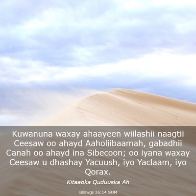 Picture 03 - Bilowgii 36:14 SOM - Kuwanuna waxay ahaayeen wiilashii naagtii Ceesaw - Bible Verse Picture