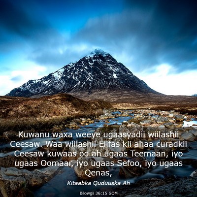 Picture 03 - Bilowgii 36:15 SOM - Kuwanu waxa weeye ugaasyadii wiilashii Ceesaw. - Bible Verse Picture