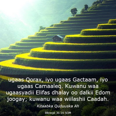 Picture 03 - Bilowgii 36:16 SOM - ugaas Qorax, iyo ugaas Gactaam, iyo ugaas - Bible Verse Picture