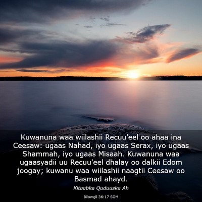 Picture 03 - Bilowgii 36:17 SOM - Kuwanuna waa wiilashii Recuu'eel oo ahaa ina - Bible Verse Picture