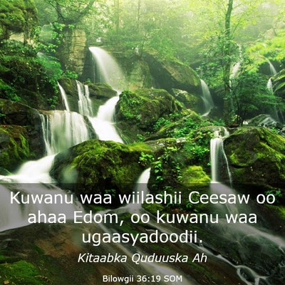 Picture 03 - Bilowgii 36:19 SOM - Kuwanu waa wiilashii Ceesaw oo ahaa Edom, oo - Bible Verse Picture