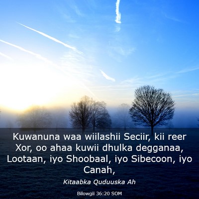 Picture 03 - Bilowgii 36:20 SOM - Kuwanuna waa wiilashii Seciir, kii reer Xor, oo - Bible Verse Picture