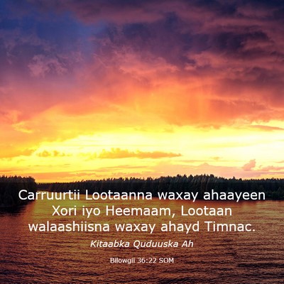 Picture 03 - Bilowgii 36:22 SOM - Carruurtii Lootaanna waxay ahaayeen Xori iyo - Bible Verse Picture
