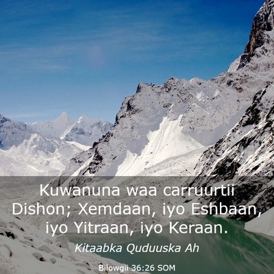 Picture 03 - Bilowgii 36:26 SOM - Kuwanuna waa carruurtii Dishon; Xemdaan, iyo - Bible Verse Picture