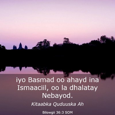 Picture 03 - Bilowgii 36:3 SOM - iyo Basmad oo ahayd ina Ismaaciil, oo la dhalatay - Bible Verse Picture